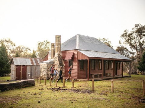 The Pines Cottage - C Tourism 0