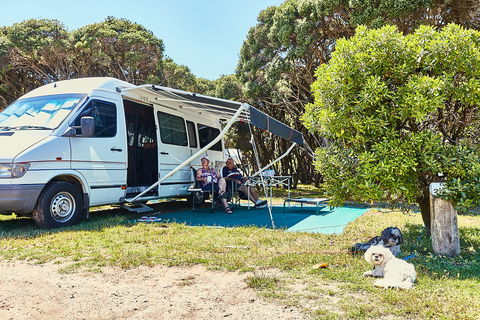Anglesea Family Caravan Park - C Tourism 2