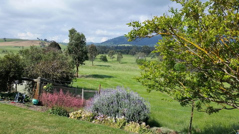 Cheviot Glen Cottages - C Tourism 2