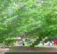 Hill End Holiday Ranch - C Tourism
