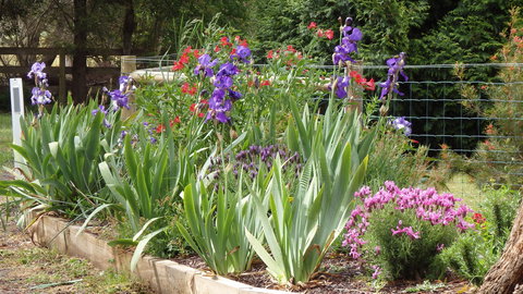 Karoola Cottage - C Tourism 1