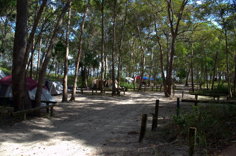 Moreton Island National Park And Recreation Area Camping - C Tourism 1