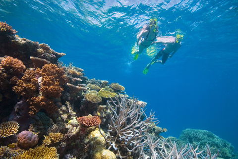 NRMA Cairns Holiday Park - C Tourism 0