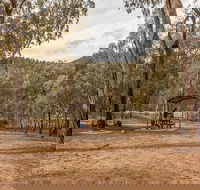 Pinch River campground - C Tourism