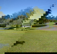 Pine Country Caravan Park - Pet Friendly - C Tourism