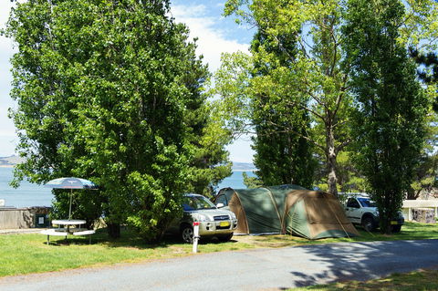 Rainbow Pines Tourist Caravan Park - C Tourism 1