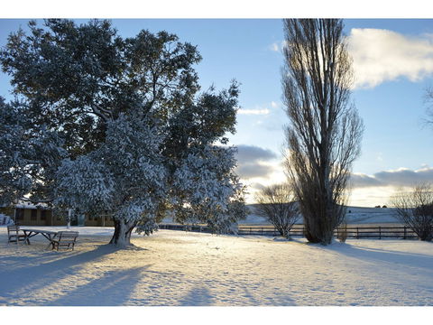 Snowy Mountains Resort - C Tourism 0