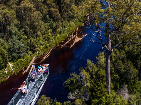 Tahune Adventures Tasmania - Lodge And Cabin - C Tourism 1
