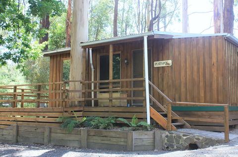 Tarra Valley Caravan Park - C Tourism 1