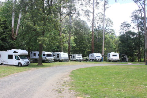 Tarra Valley Caravan Park - C Tourism 2