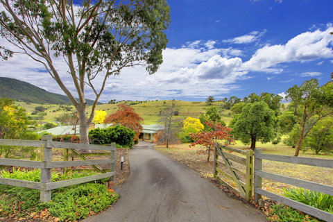 Tharah - C Tourism 2