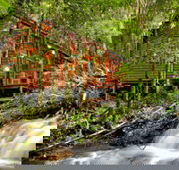 The Mouses House - Rainforest Retreat - C Tourism