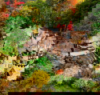 Thorngrove Manor Hotel - C Tourism