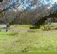 Tin Mines campground - C Tourism