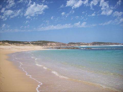 Top Deck Marion Bay - C Tourism 1