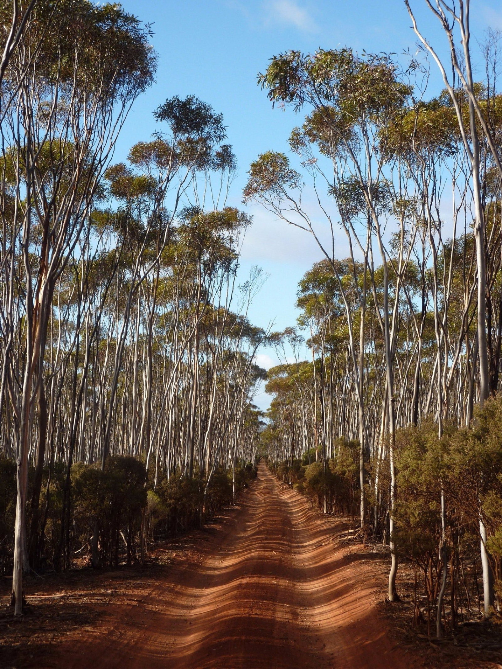 Victoria Rock WA C Tourism