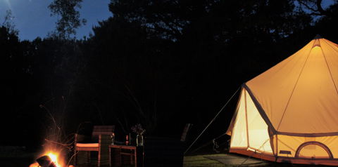 Zeehan Bush Camp - C Tourism 1