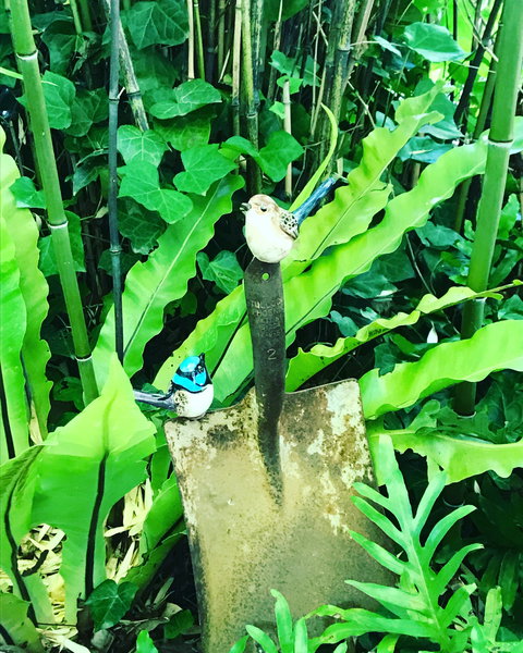 Aldgate Valley Bed And Breakfast - C Tourism 2