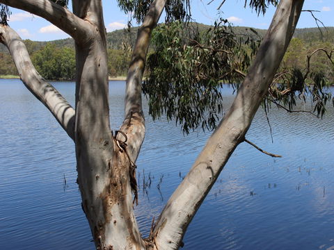 Bumberry Dam - C Tourism 0