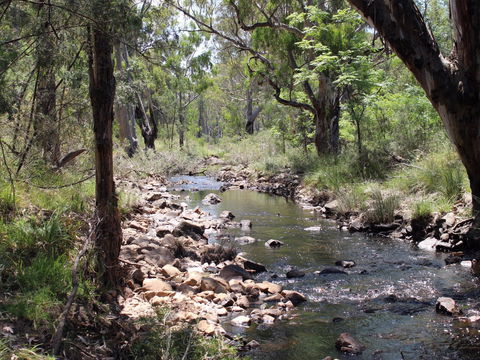 Bumberry Dam - C Tourism 1