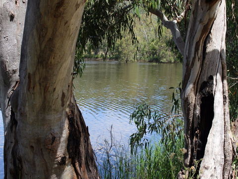 Bumberry Dam - C Tourism 2