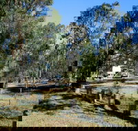 Dangars Gorge campground - C Tourism