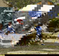 Forest Glen Holiday Resort - C Tourism