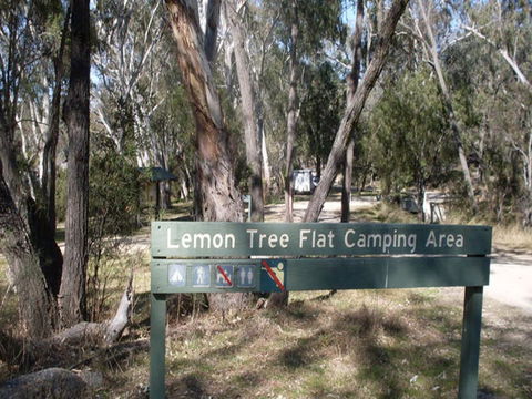 Lemon Tree Flat Campground - C Tourism 0