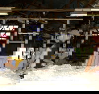 Pelican Sheep Station - C Tourism