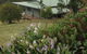 Southern Anchorage Retreat - thumb 1