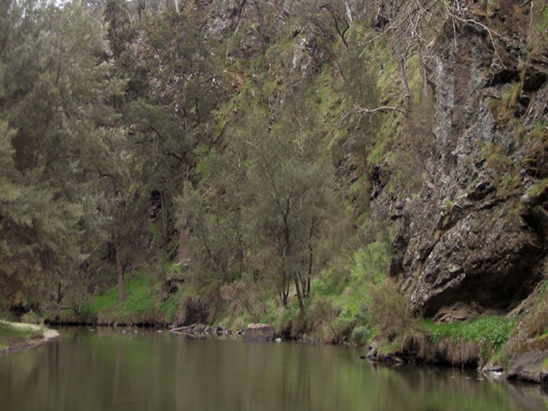 Yarra NSW C Tourism
