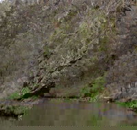 The Beach - C Tourism