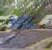 Wollomombi campground - C Tourism