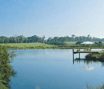 Forest Rise Eco Retreat - C Tourism 0