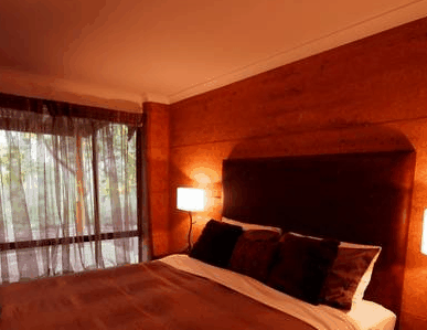 Forest Rise Eco Retreat - C Tourism 1