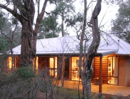 Forest Rise Eco Retreat - C Tourism 2