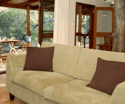 Forest Rise Eco Retreat - C Tourism 4