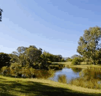 BIG4 Peppermint Caravan Park - C Tourism
