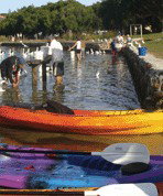 Turner Caravan Park - C Tourism 1