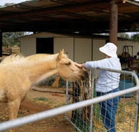 Nallan Station - C Tourism