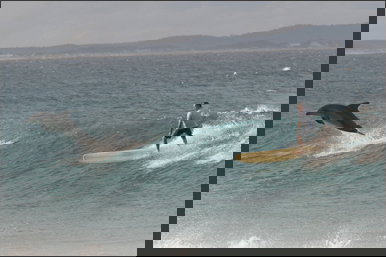 Spot X - C Tourism 2