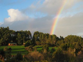 Pemberton Lavender And Berry Farm Cafe And Cottages - C Tourism 3
