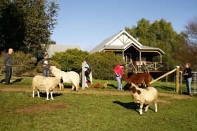 Sunnyhurst Chalets - C Tourism 0