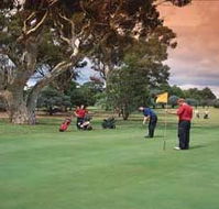 Barham Golf Resort - C Tourism