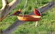 Henlie Park Bed & Breakfast - thumb 3