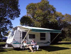 Bega Caravan Park - C Tourism 1
