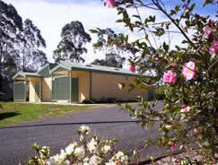 Bega Caravan Park - C Tourism 5