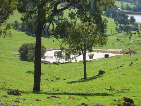 Vista Ridge Estate - Top Paddock Cottage - C Tourism 3