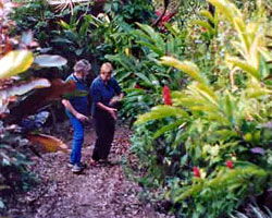 Milkwood Lodge - C Tourism 1