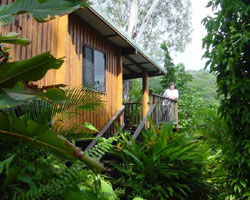 Milkwood Lodge - C Tourism 2